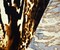 Brown-Black-Multi Poly Stretch Leopard Printed Velvet Knit Fabric By the Yard